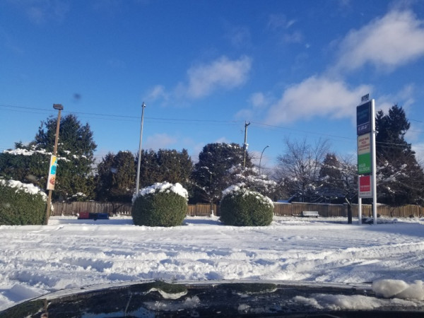 20230226_084008.jpg
