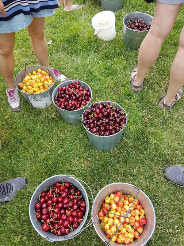 20170707_115900.jpg